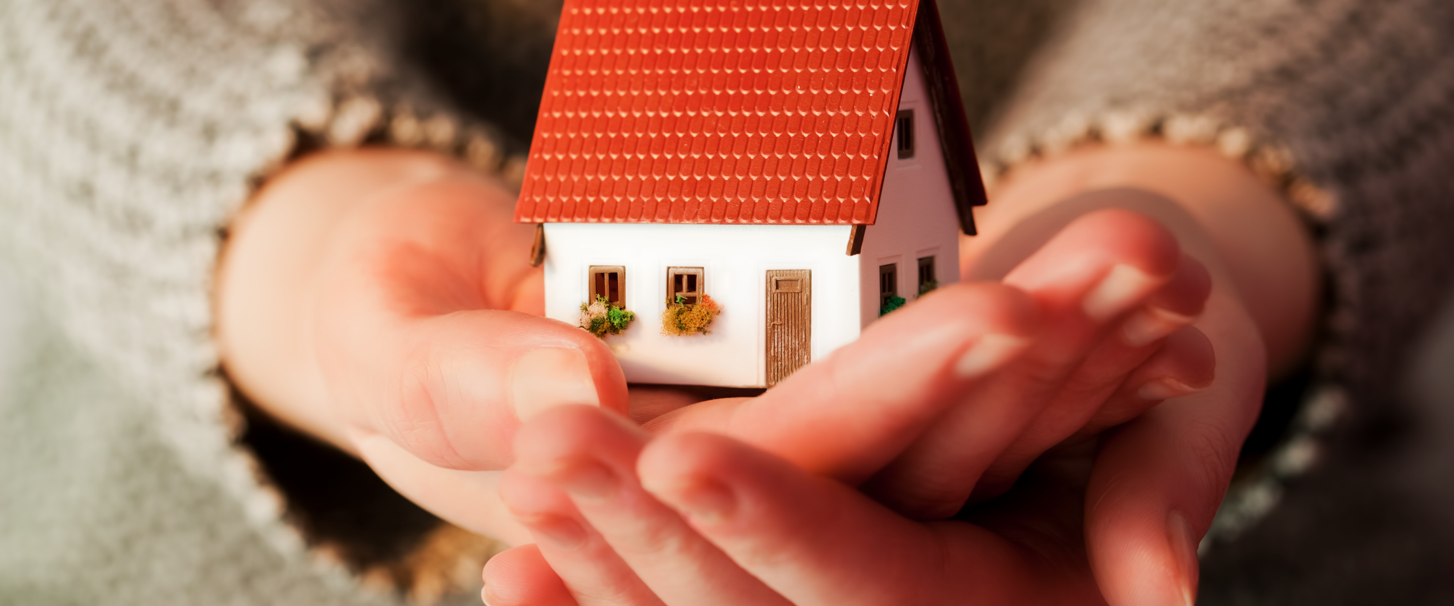hands holding a model home