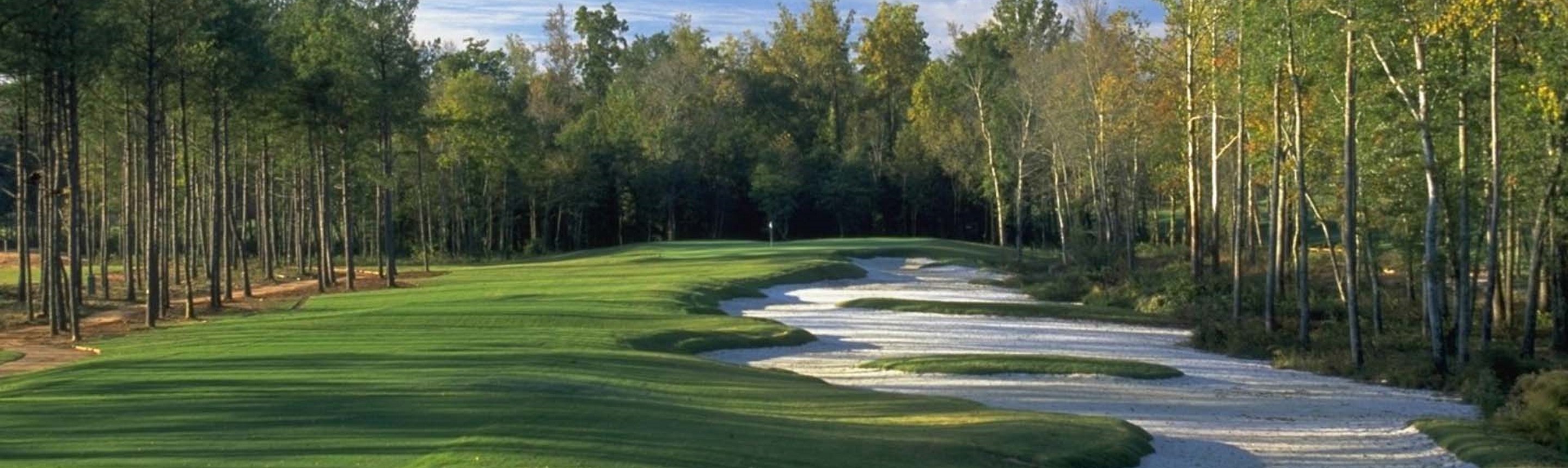 The Frog Golf Club